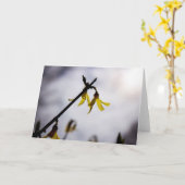 Carte Forsythie au printemps (Fleur jaune)