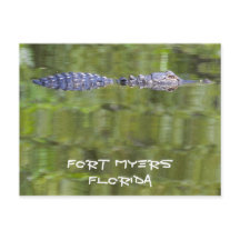 Carte Fort Myers Alligator