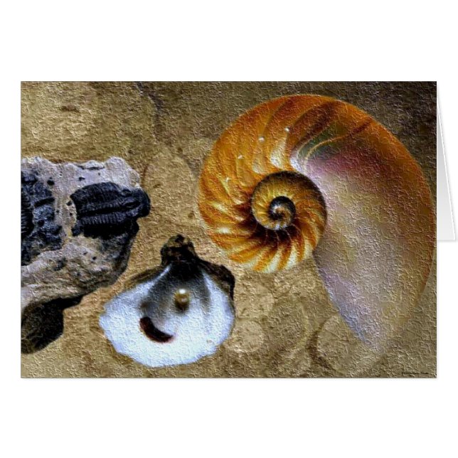 Carte Fossil (Devant Horizontal)