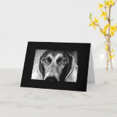 Carte Fou vous regardant (Fleur jaune)