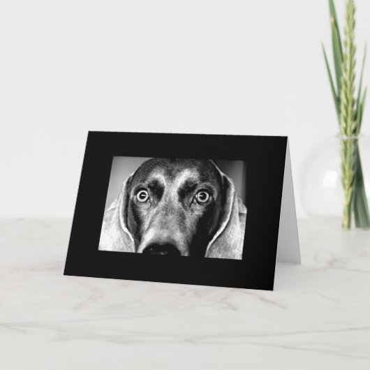 Carte Fou vous regardant (Devant)