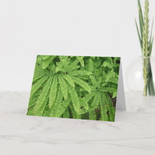 Carte Fougère Adiantum à cinq doigts