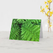 Carte Fougères (Fleur jaune)