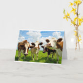 Carte Four chatting cows (Fleur jaune)