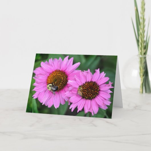 Carte Fourmis (Devant)