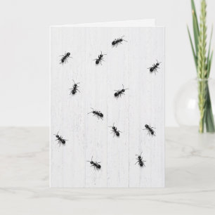 Carte Fourmis noires d'anniversaire sur du bois blanchi 