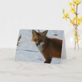 Carte Fox (Fleur jaune)