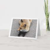 Carte Fox Cub assis sur le portrait de rue (Devant)