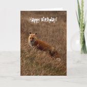Carte Fox dans l'herbe ; Joyeux anniversaire (Devant)