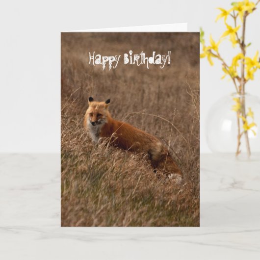 Carte Fox dans l'herbe ; Joyeux anniversaire (Fleur jaune)