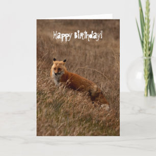 Carte Fox dans l'herbe ; Joyeux anniversaire