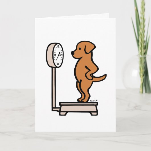 Carte Fox Red Labrador sur l'échelle (Devant)