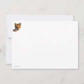 Carte Fox Sur Neige (Dos)
