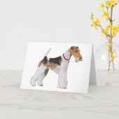 Carte Fox-Terrier à poil dur (Fleur jaune)