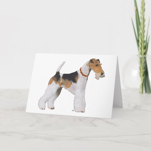Carte Fox-Terrier à poil dur (Devant)