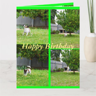 Carte Fox Terrier, Photo Collage, Big Birthday Card
