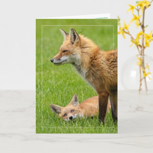 Carte Foxes des yeux d'amour (Fleur jaune)