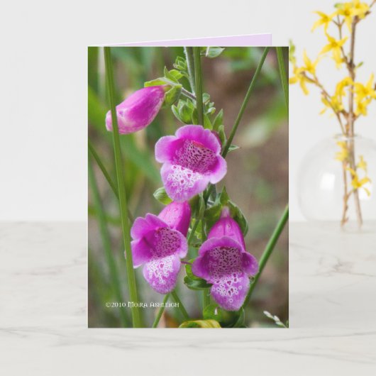 Carte Foxglove (Fleur jaune)