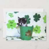 Carte Foxi Moxi's Cat / Kitten St. Patrick's Day (Devant)