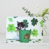 Carte Foxi Moxi's Cat / Kitten St. Patrick's Day (Debout devant)