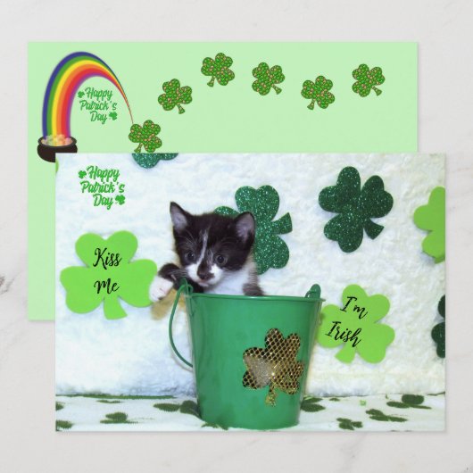 Carte Foxi Moxi's Cat / Kitten St. Patrick's Day (Devant / Derrière)