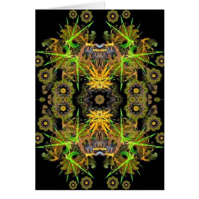 carte fractale (Devant)