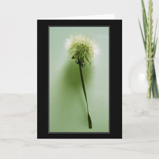 Carte Fragile (Devant)