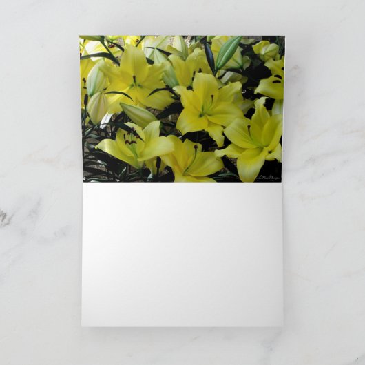 Carte Frame-It (Intérieur)