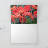 Carte Frame-It Get Well (Intérieur)