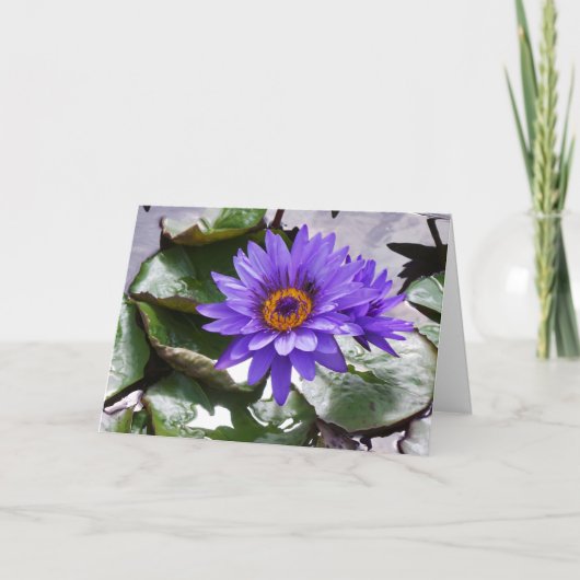 Carte Frameable Fleur Violet Anniversaire 7x5 (Devant)