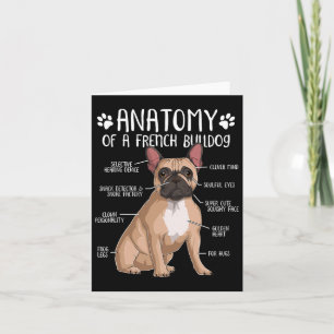 Carte Français Bulldog Anatomie Français Amoureux des ch