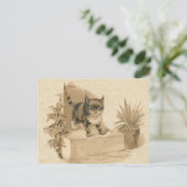 Carte française d'antiquité avec dessin de chat Vi (Debout devant)