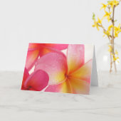 Carte Frangipani (Fleur jaune)