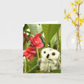 Carte Frangipanier (Fleur jaune)