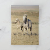 Carte Freedom Runs Wild Horse Grey Card (Intérieur)