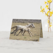 Carte Freedom Runs Wild Horse Grey Card (Fleur jaune)