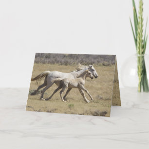 Carte Freedom Runs Wild Horse Grey Card