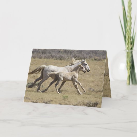 Carte Freedom Runs Wild Horse Grey Card (Devant)
