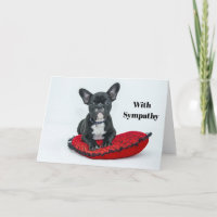 French Bulldog Black Coussin Photo Sympathie