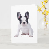 Carte Frenchie - chiot de bouledogue français (Fleur jaune)