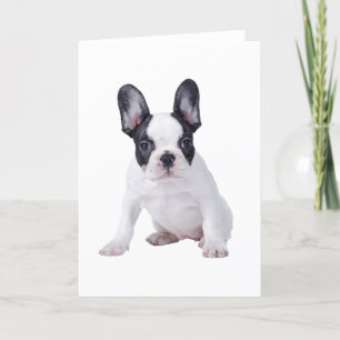 Carte Frenchie - chiot de bouledogue français