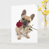 Carte Frenchie Valentine – Big Love in a Small Package (Fleur jaune)