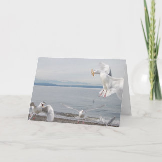 Carte frénésie de pommes frites