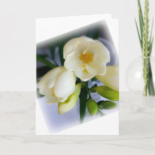 Carte frénésie jaune blanc