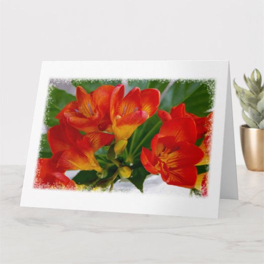 Carte Frénésie rouge (Petite plante)