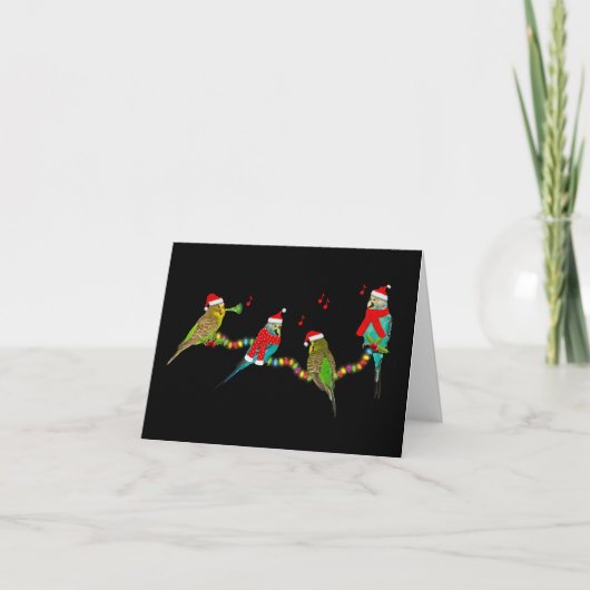 Carte Frenzy de Noël Budgie (Devant)