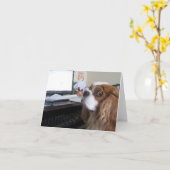Carte Friday Cavalier King Charles Spaniel at the office (Fleur jaune)