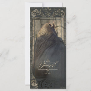 Carte Friesian DIAMOND II - Rack/Carte postale