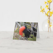 Carte Frigatebird Greeting Card (Fleur jaune)