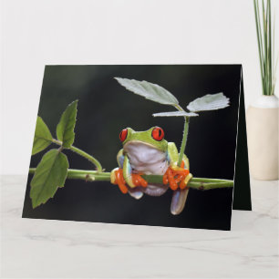 Carte Frog Texte Personnalisée